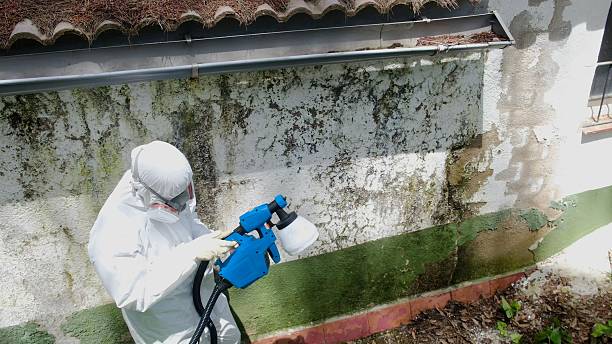 Top rated local Mold Remediation specialists in Monrovia, MD